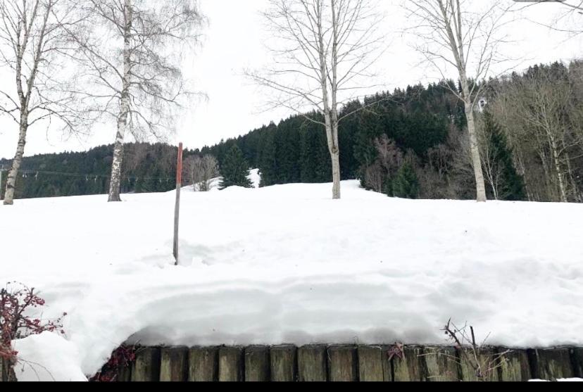Fewo Alpenwiese Mit Hallenbad&Sauna Міссен-Вільгамс Екстер'єр фото