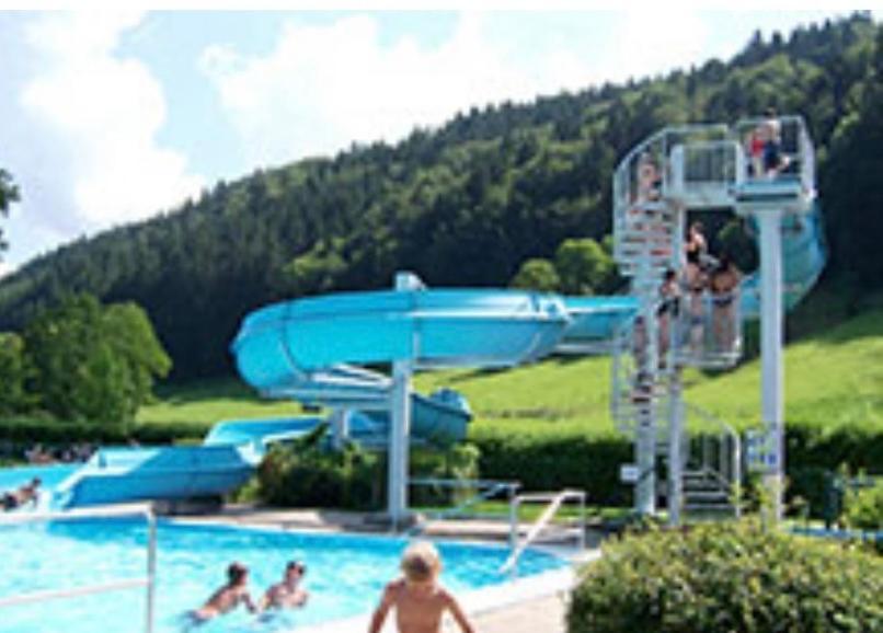 Fewo Alpenwiese Mit Hallenbad&Sauna Міссен-Вільгамс Екстер'єр фото