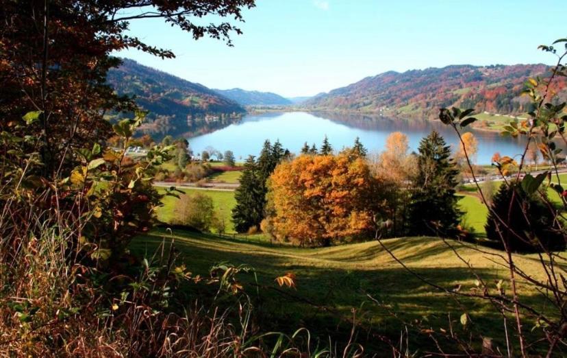 Fewo Alpenwiese Mit Hallenbad&Sauna Міссен-Вільгамс Екстер'єр фото